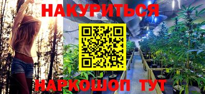 крисы Донской