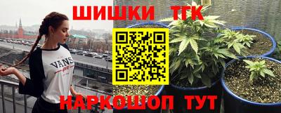 крисы Донской